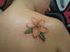Plumeria tattoo