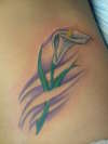 Lily tattoo
