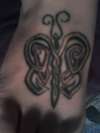 Celtic Butterfly tattoo