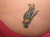 Butterfly tattoo
