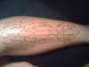 Shin Shield tattoo