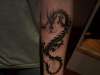 Tribal Dragon tattoo