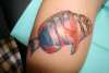 Harliquen Tusk Fish tattoo