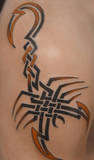 Tribal Scorp tattoo