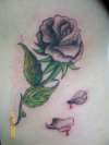 Rose Tattoo