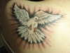 merpati putih tattoo