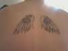 Bailey's wings tattoo