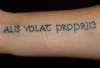 She Flies With Her Own Wings tattoo