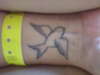 dove on my wrist tattoo