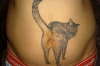 Cat Butt tattoo