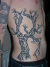 Tree Tattoo on ribs
