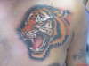 Tiger tattoo