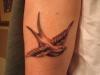 New SwallowTat tattoo