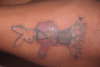My boy B (Datboib) tattoo