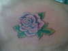 rose tattoo