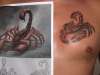 scorpion tattoo