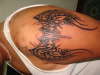 tribal tattoo