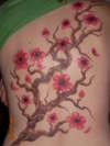 my cherry blossom tree tattoo
