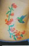 Humming Bird tattoo