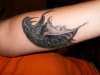 My new Dragon/snake Tattoo