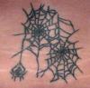 Spider w/ spiderwebs tattoo
