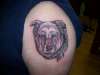 dogeatdog tattoo