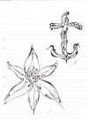 some drawings, a anchor and a lilly tattoo