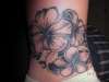 Hibiscus_Plumeria tattoo