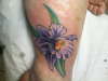 IRIS tattoo