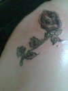 black rose tattoo