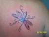 dragon fly tattoo