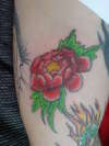 Peoni Flower tattoo