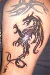 Meowry's Dragon tattoo