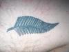 Fern tattoo