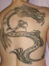 Celtic Dragon tattoo