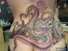 octopus tattoo