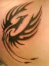 Phoenix tattoo