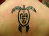 turtle tattoo