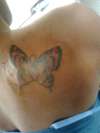 Tiger Butterfly tattoo