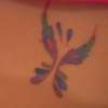 Butterfly tattoo