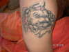 bulldog tattoo