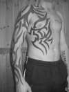 my tribal tattoo