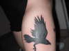 Crows 2. tattoo