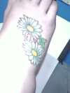 Daisies tattoo