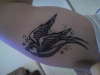 swallow tattoo