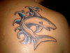 Shark tattoo