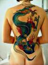 elisa sexy  dragon tattoo tattoo