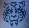 Tiger Tribal tattoo