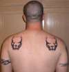 Pittbulls tattoo