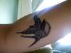 Ugly Sparrow tattoo